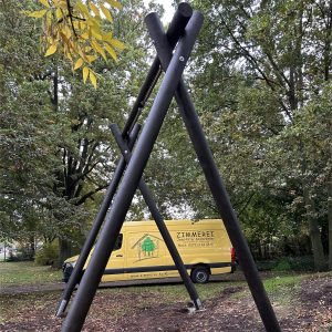 Naturstamm Zuschnitt-3