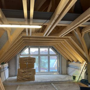 Sannierung zuschnitt-1